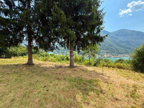 terreno agricolo in vendita a Ranzanico