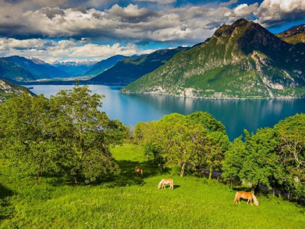 casa indipendente in vendita a Riva di Solto