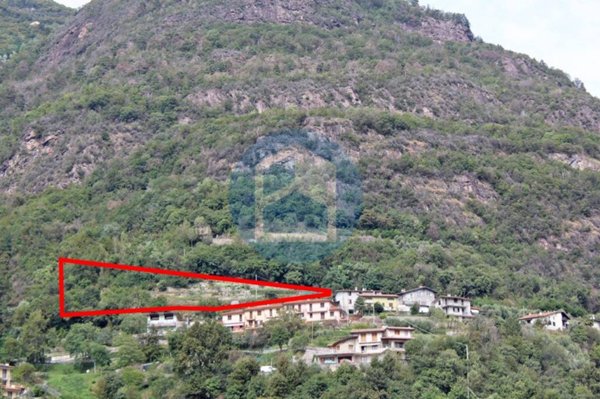 terreno agricolo in vendita a Rogno