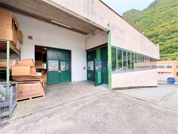 appartamento in vendita a Rogno