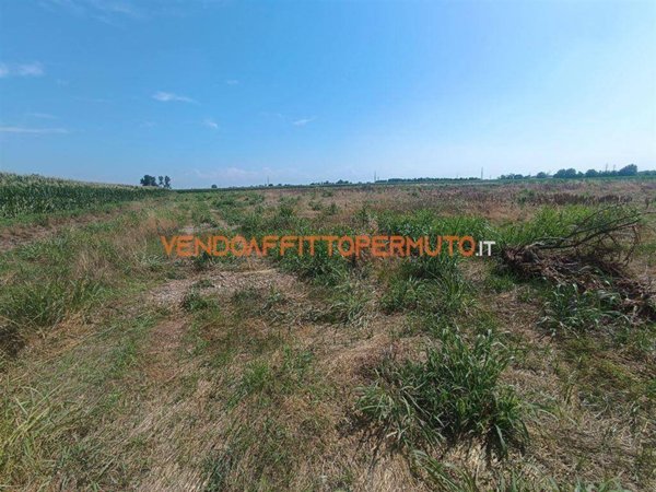 terreno agricolo in vendita a Romano di Lombardia