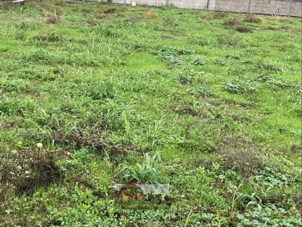 terreno agricolo in vendita a Romano di Lombardia