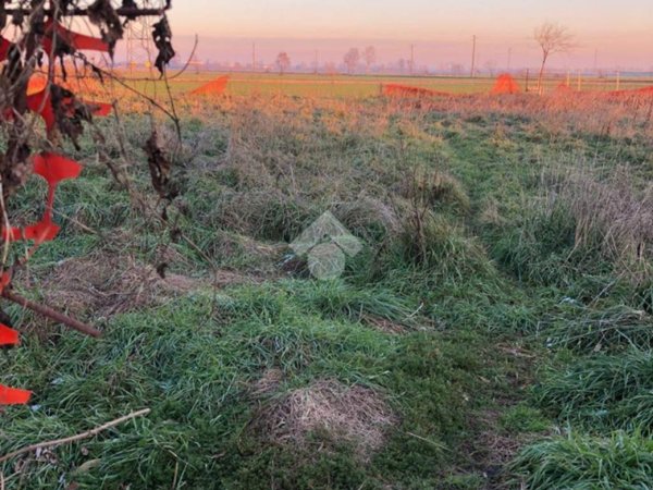 terreno agricolo in vendita a Romano di Lombardia