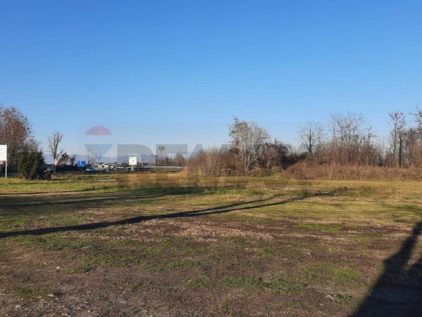 immagine annuncio 0 di 5