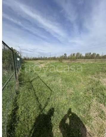appartamento in vendita a Romano di Lombardia in zona Pascolo