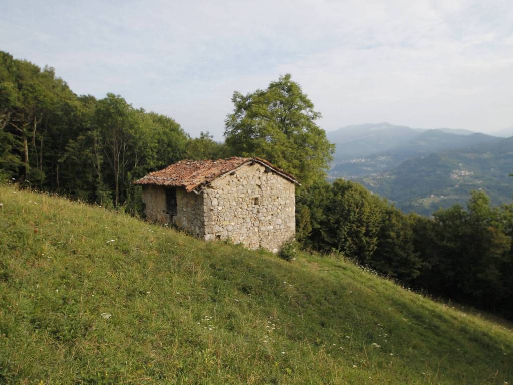 casa indipendente in vendita a Roncola