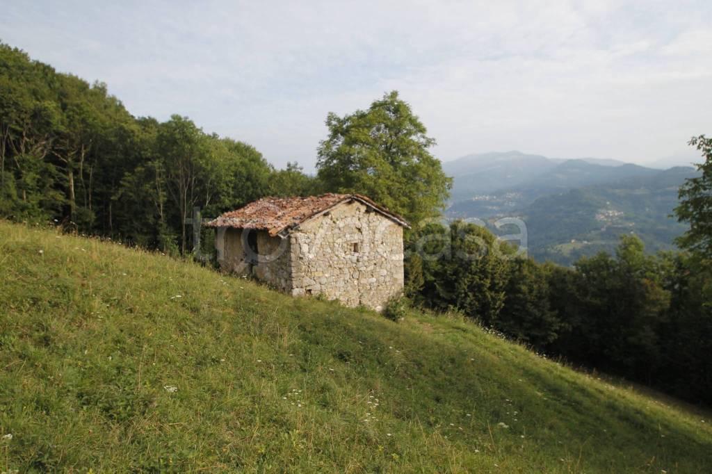 rudere in vendita a Roncola