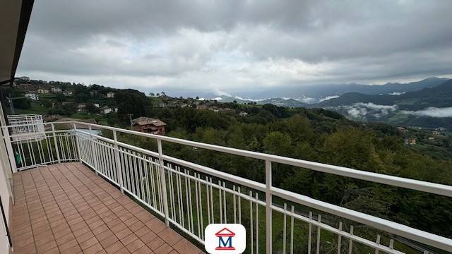 appartamento in vendita a Roncola