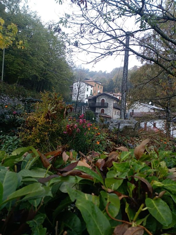 appartamento in vendita a Roncola