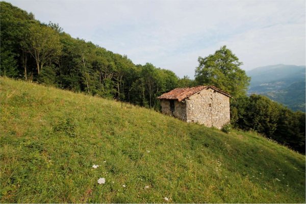 appartamento in vendita a Roncola