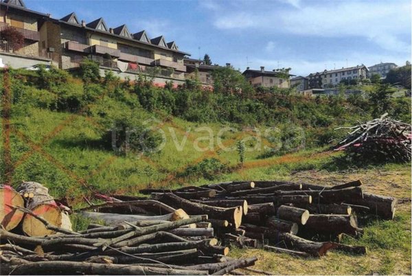 terreno agricolo in vendita a Roncola