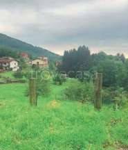 terreno agricolo in vendita a Roncola