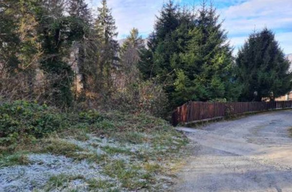 terreno agricolo in vendita a San Giovanni Bianco