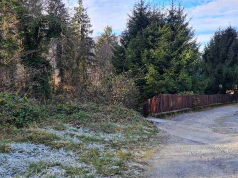 terreno agricolo in vendita a San Giovanni Bianco