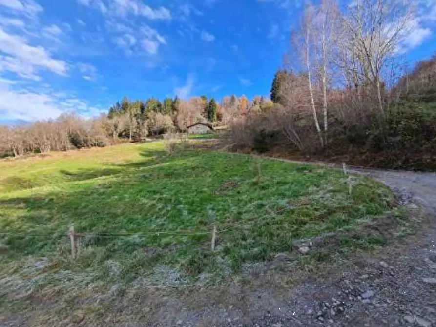 terreno agricolo in vendita a San Giovanni Bianco