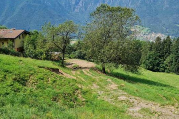 terreno agricolo in vendita a San Giovanni Bianco