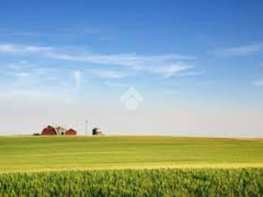 terreno agricolo in vendita a San Paolo d'Argon