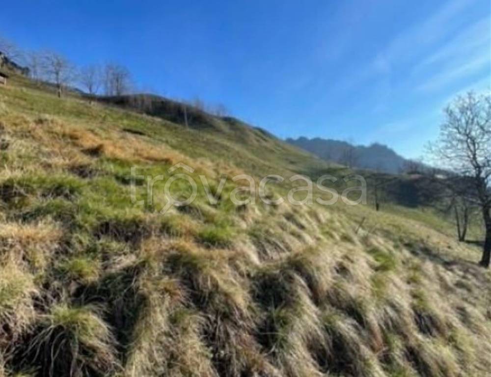 terreno agricolo in vendita a San Pellegrino Terme