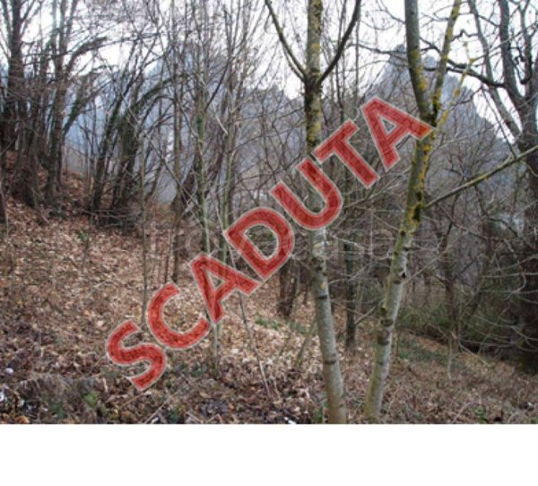 terreno agricolo in vendita a San Pellegrino Terme in zona Santa Croce