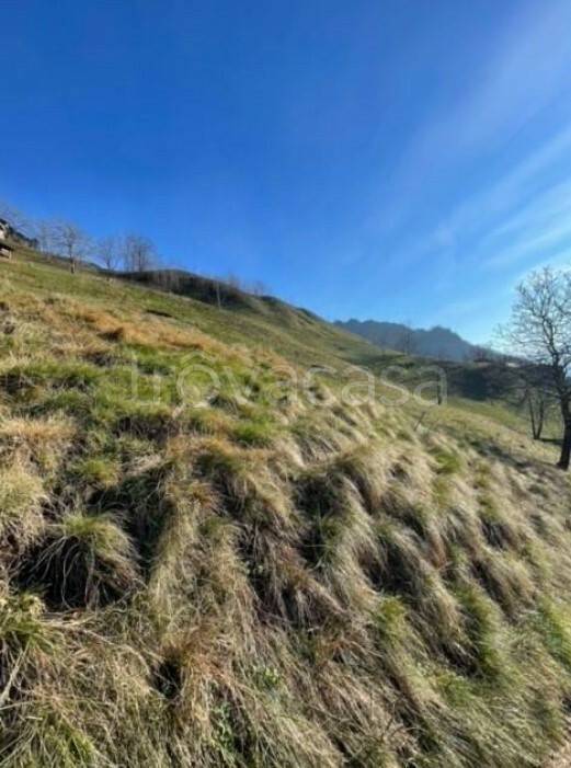 terreno agricolo in vendita a San Pellegrino Terme