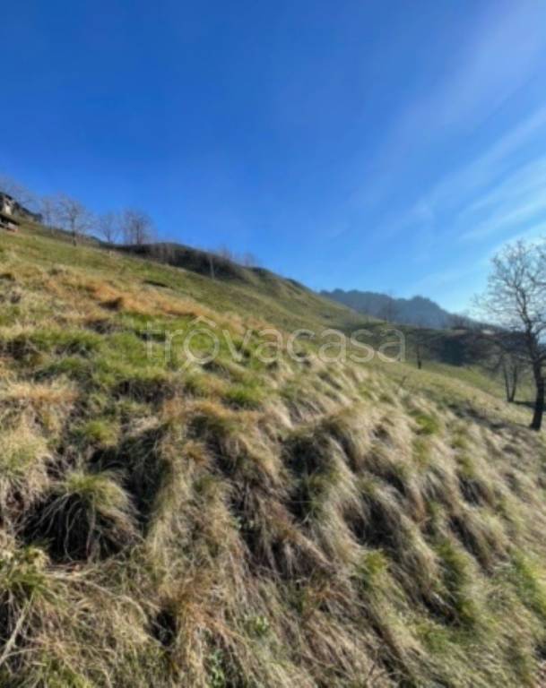 terreno agricolo in vendita a San Pellegrino Terme in zona Frasnadello