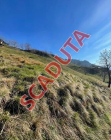 terreno agricolo in vendita a San Pellegrino Terme in zona Frasnadello