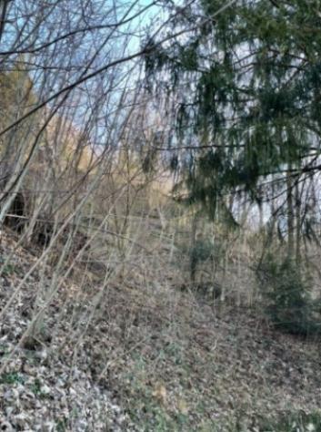 terreno agricolo in vendita a San Pellegrino Terme in zona Frasnadello