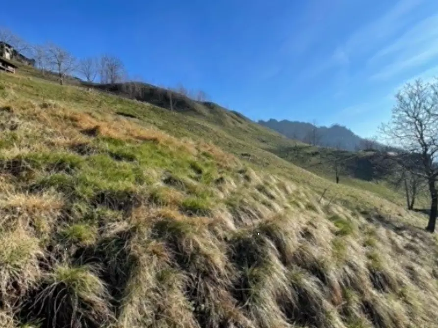 terreno agricolo in vendita a San Pellegrino Terme in zona Frasnadello
