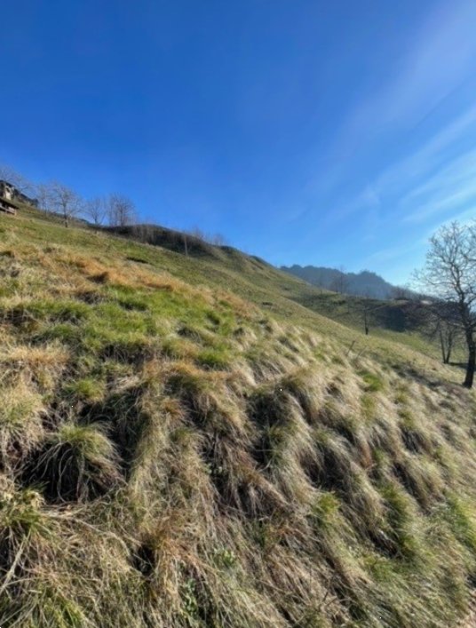 terreno agricolo in vendita a San Pellegrino Terme in zona Frasnadello