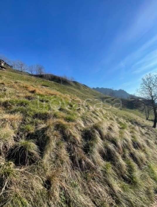 terreno agricolo in vendita a San Pellegrino Terme in zona Frasnadello