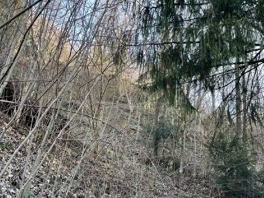 terreno agricolo in vendita a San Pellegrino Terme in zona Frasnadello