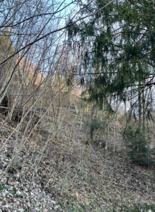 terreno agricolo in vendita a San Pellegrino Terme in zona Frasnadello
