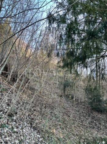 terreno agricolo in vendita a San Pellegrino Terme in zona Frasnadello
