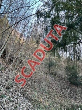 terreno agricolo in vendita a San Pellegrino Terme in zona Frasnadello