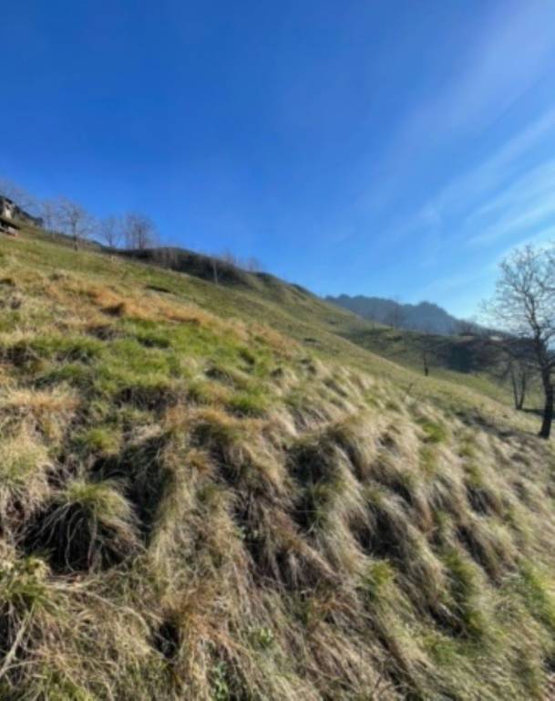 terreno agricolo in vendita a San Pellegrino Terme in zona Frasnadello