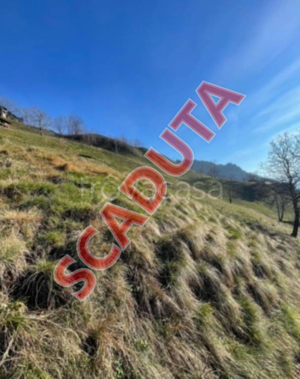 terreno agricolo in vendita a San Pellegrino Terme in zona Frasnadello