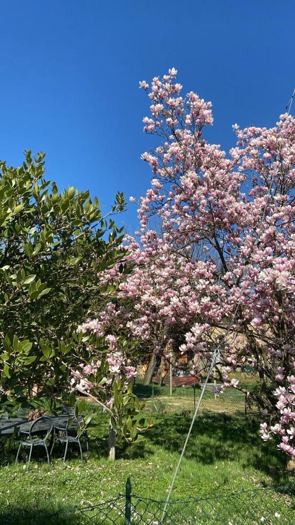 casa indipendente in vendita ad Arignano in zona Moano