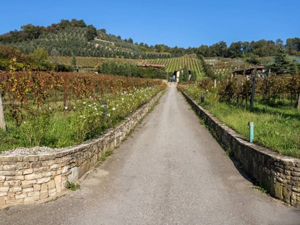 terreno agricolo in vendita a Scanzorosciate