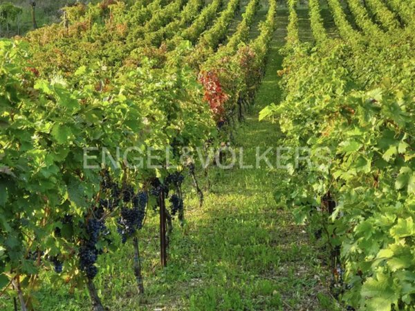 terreno agricolo in vendita a Scanzorosciate