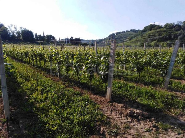 terreno agricolo in vendita a Scanzorosciate in zona Negrone