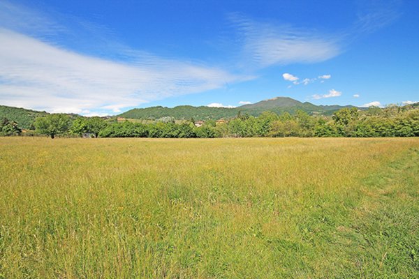 terreno agricolo in vendita a Scanzorosciate