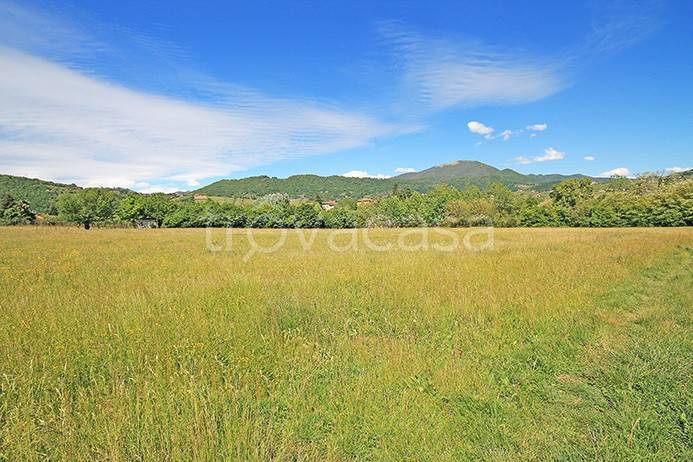 terreno agricolo in vendita a Scanzorosciate in zona Negrone