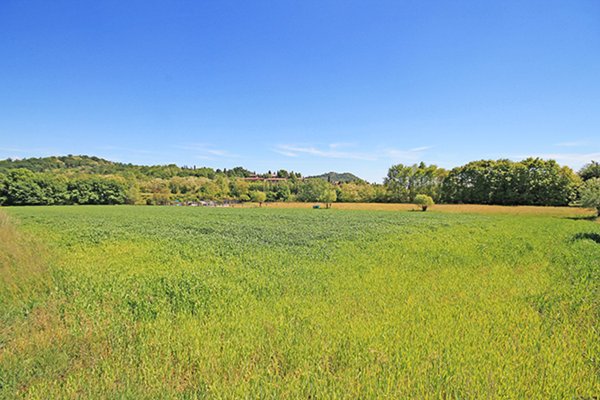 terreno agricolo in vendita a Scanzorosciate