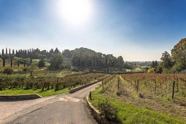 esavano in vendita a Scanzorosciate