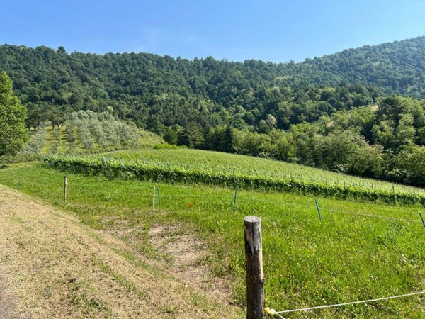 terreno agricolo in vendita a Scanzorosciate in zona Gavarno