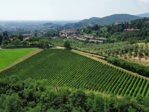terreno agricolo in vendita a Scanzorosciate in zona Gavarno