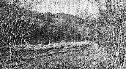 terreno agricolo in vendita a Scanzorosciate