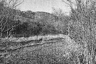 terreno agricolo in vendita a Scanzorosciate