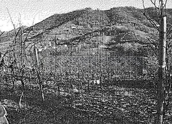 ufficio in vendita a Scanzorosciate