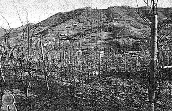 terreno agricolo in vendita a Scanzorosciate